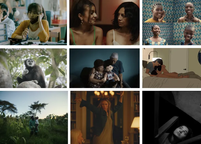 A grid of stills from shortlisted films
