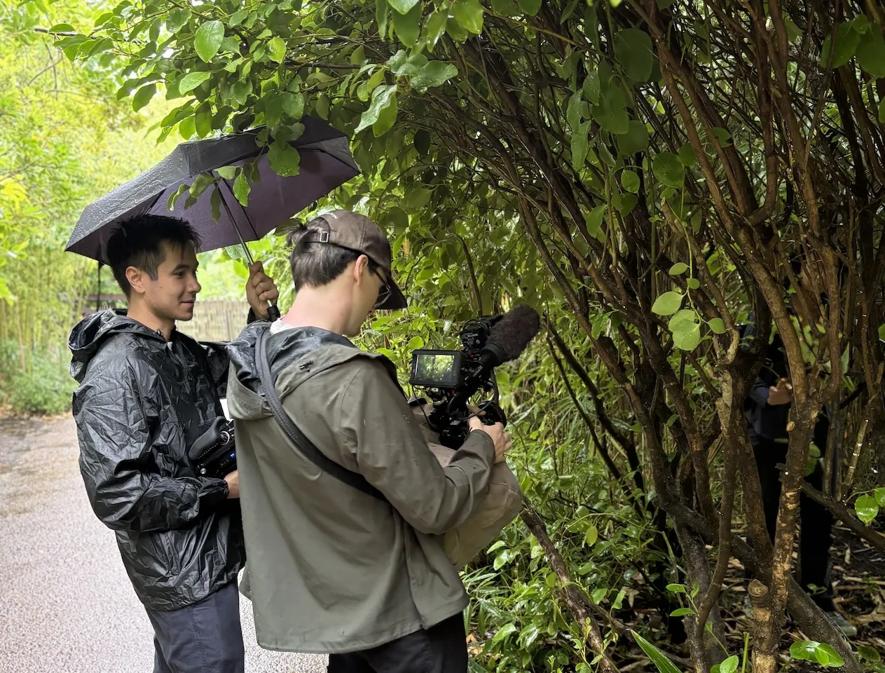 A picture of two filmmakers with their gear and an umbrella set against a leafy backdrop.