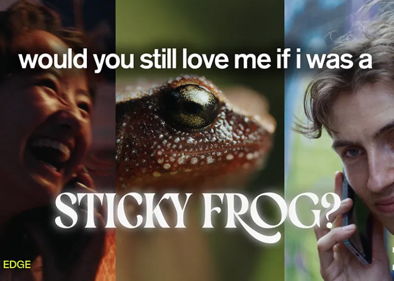 Poster of 'Would You Still Love Me If I was a Sticky Frog?'